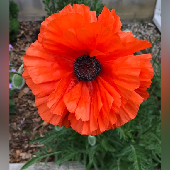 Hi! Leave a comment! β€οΈπ¦π - Picture 13 of 13